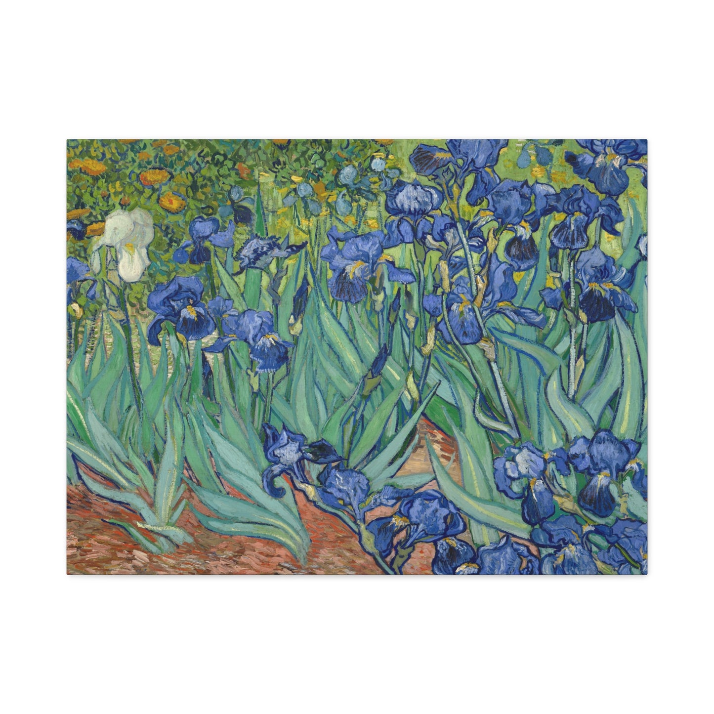 Van Gogh, Vincent - Irises (1889) - Canvas Block, unframed
