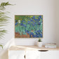 Van Gogh, Vincent - Irises (1889) - Matte Canvas, Framed