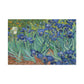 Van Gogh, Vincent - Irises (1889) - Canvas Block, unframed
