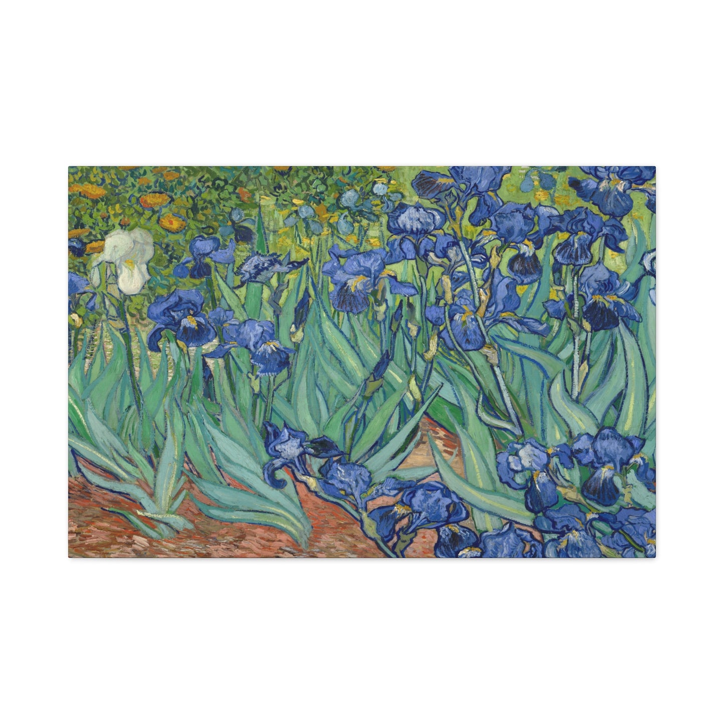 Van Gogh, Vincent - Irises (1889) - Canvas Block, unframed
