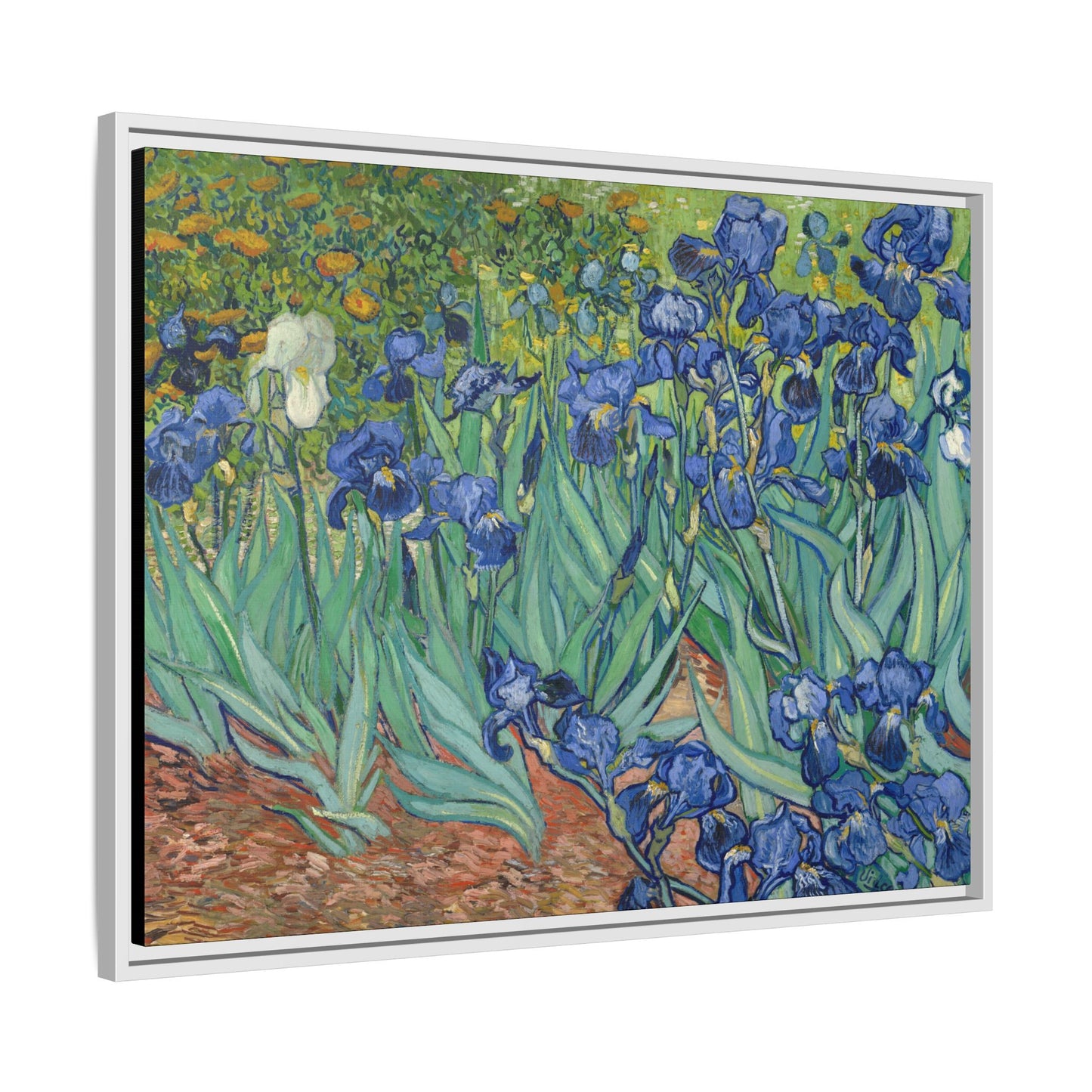 Van Gogh, Vincent - Irises (1889) - Matte Canvas, Framed