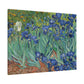 Van Gogh, Vincent - Irises (1889) - Canvas Block, unframed