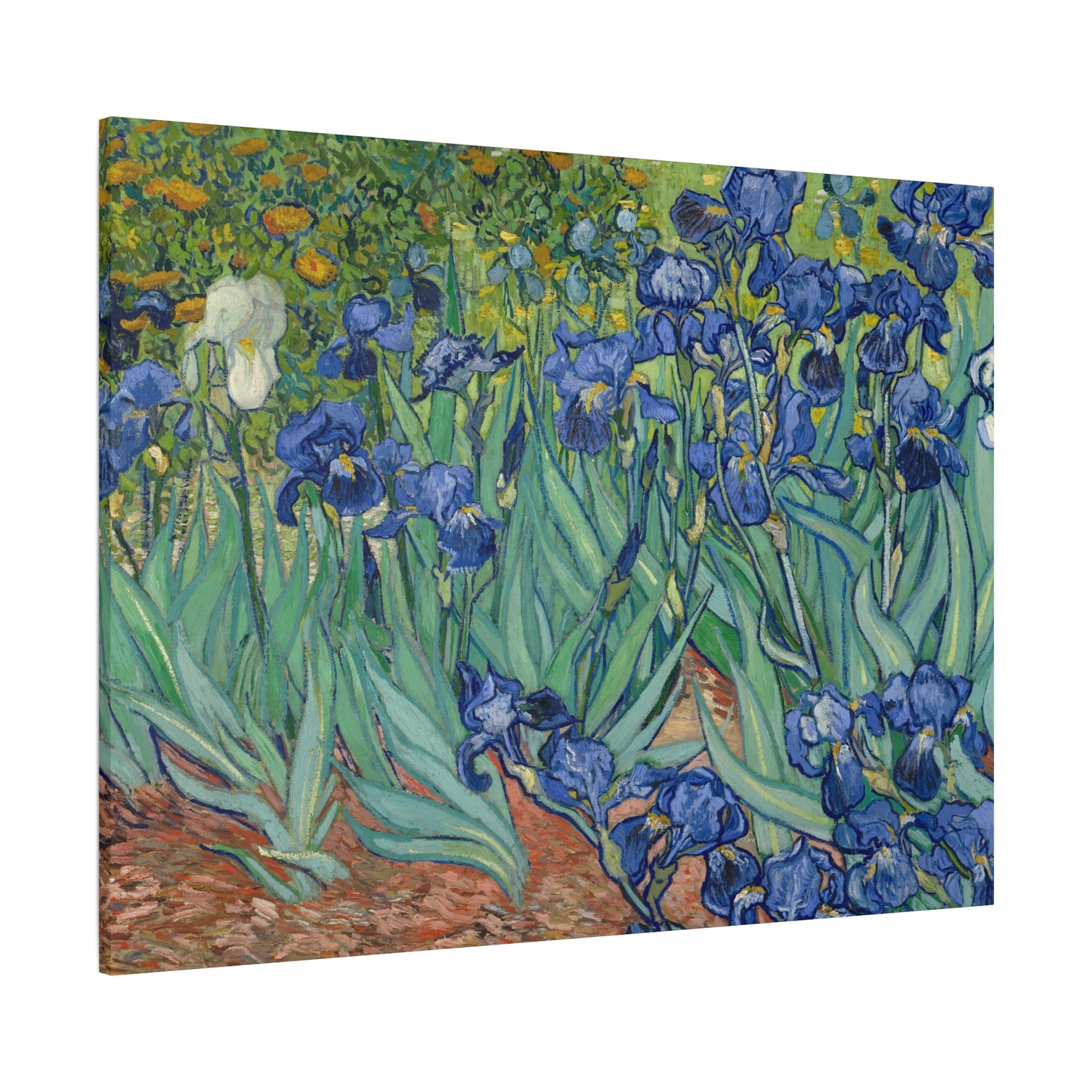Van Gogh, Vincent - Irises (1889) - Canvas Block, unframed