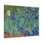 Van Gogh, Vincent - Irises (1889) - Canvas Block, unframed