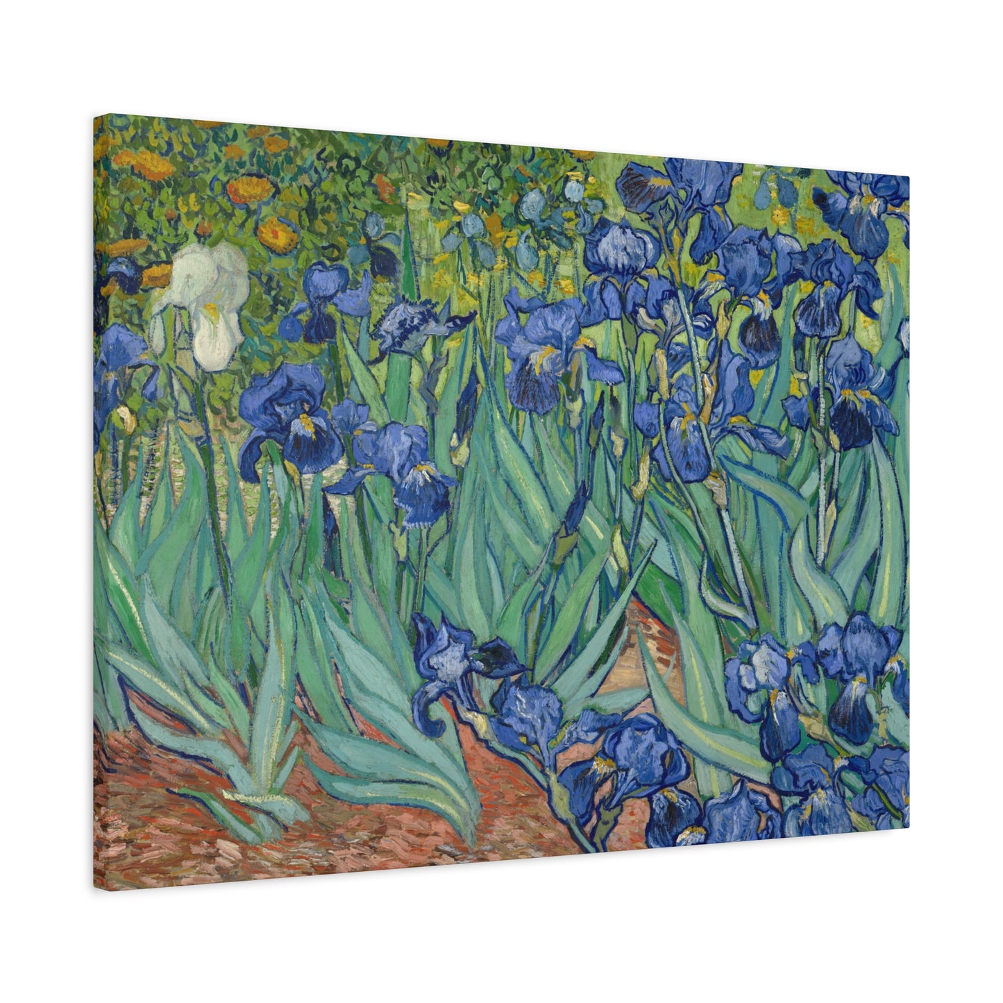 Van Gogh, Vincent - Irises (1889) - Canvas Block, unframed