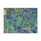 Van Gogh, Vincent - Irises (1889) - Canvas Block, unframed