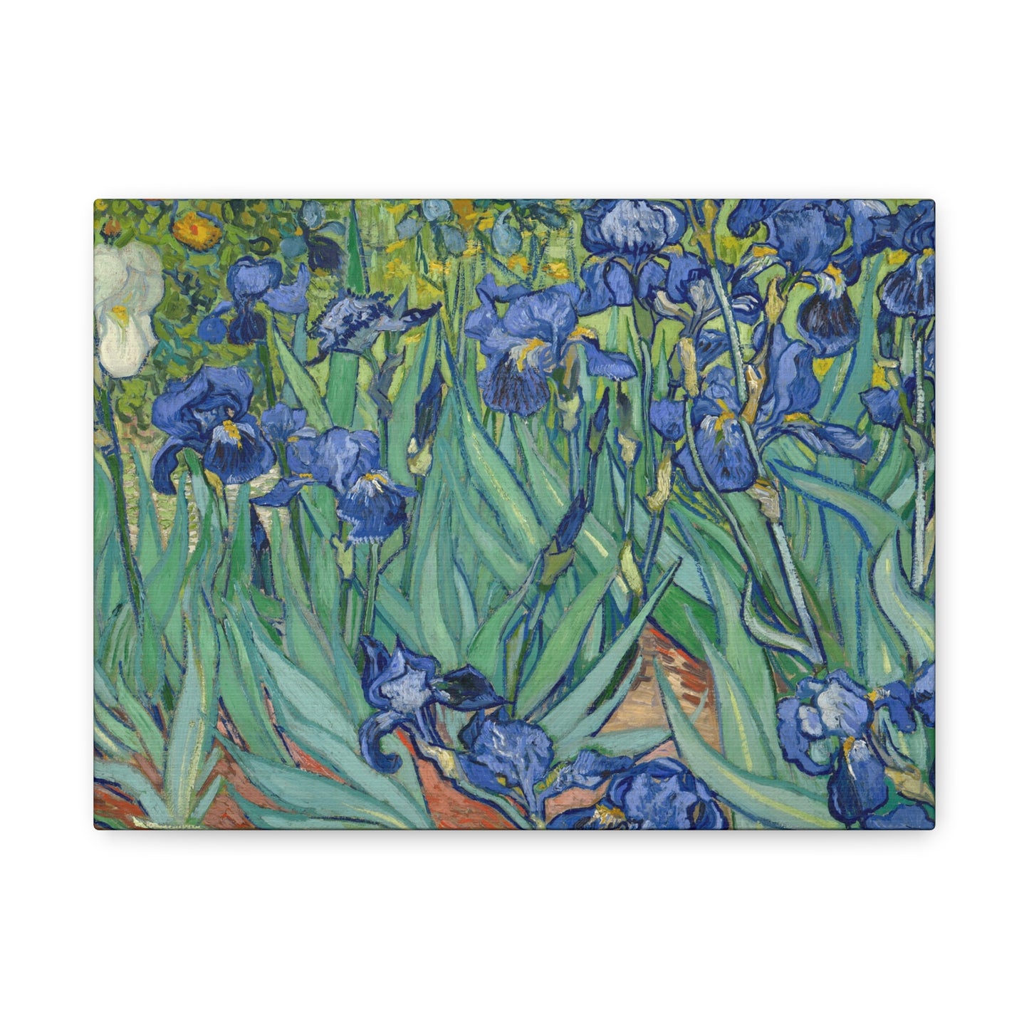 Van Gogh, Vincent - Irises (1889) - Canvas Block, unframed
