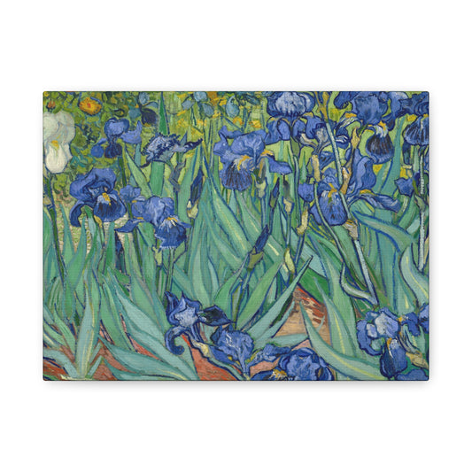 Van Gogh, Vincent - Irises (1889) - Canvas Block, unframed