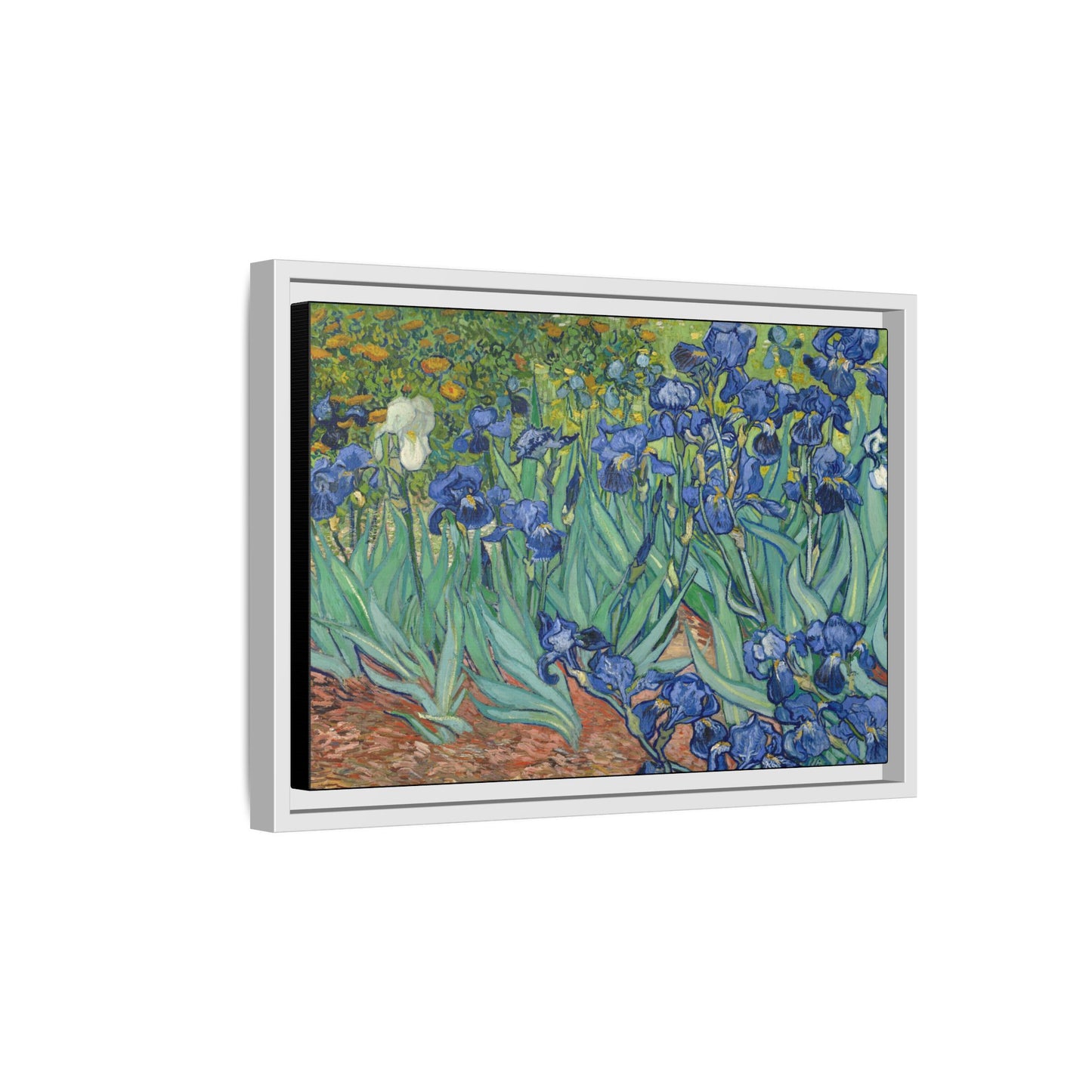 Van Gogh, Vincent - Irises (1889) - Matte Canvas, Framed