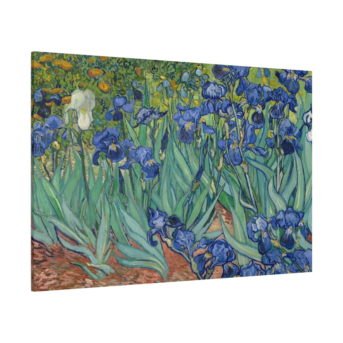 Van Gogh, Vincent - Irises (1889) - Canvas Block, unframed