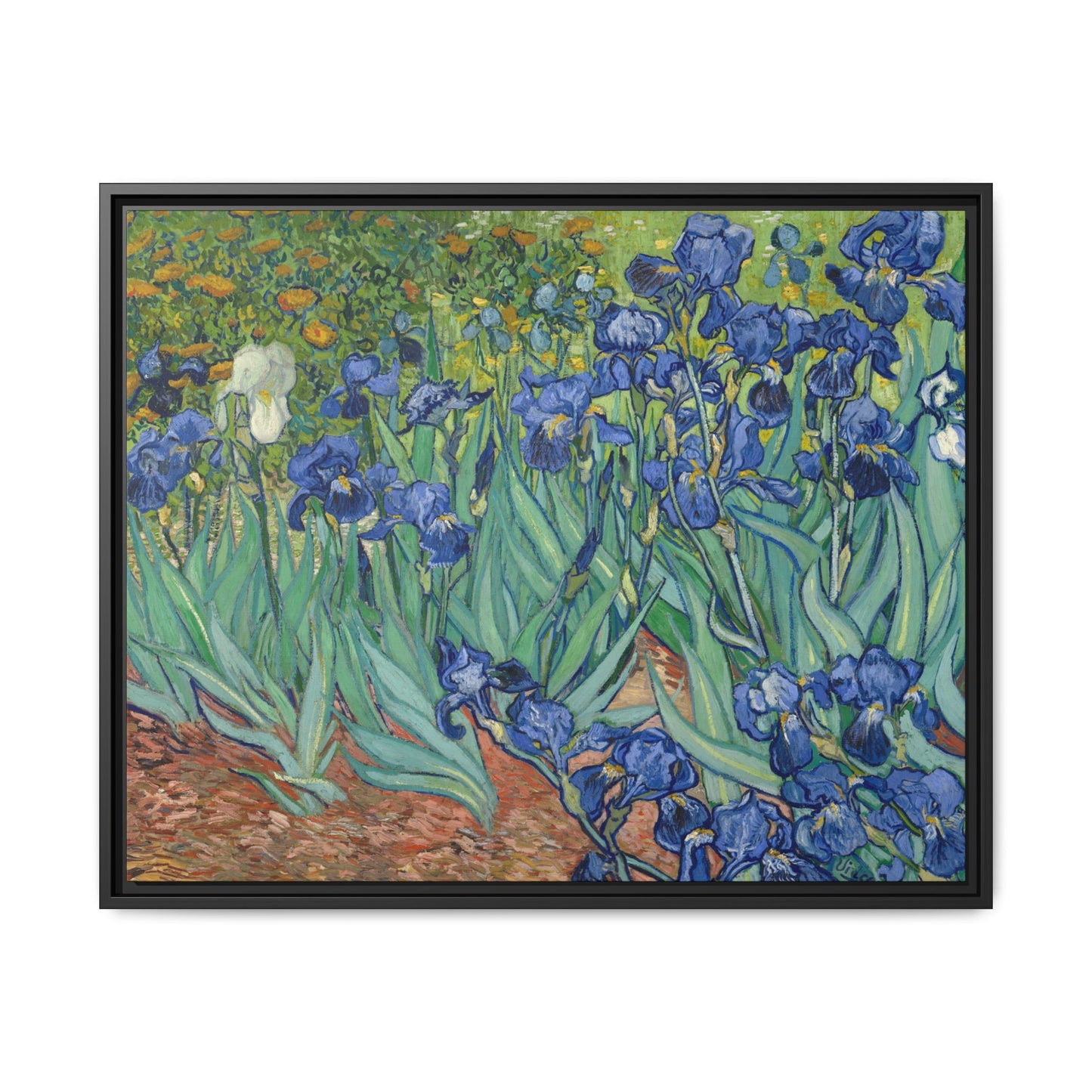 Van Gogh, Vincent - Irises (1889) - Matte Canvas, Framed