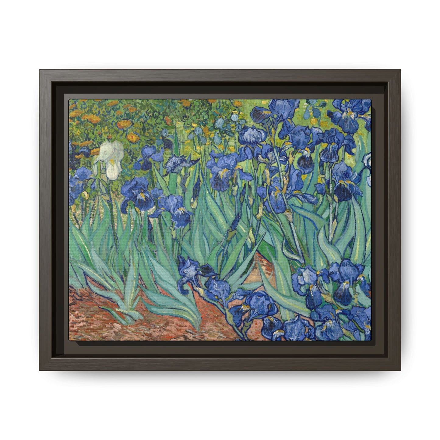 Van Gogh, Vincent - Irises (1889) - Matte Canvas, Framed