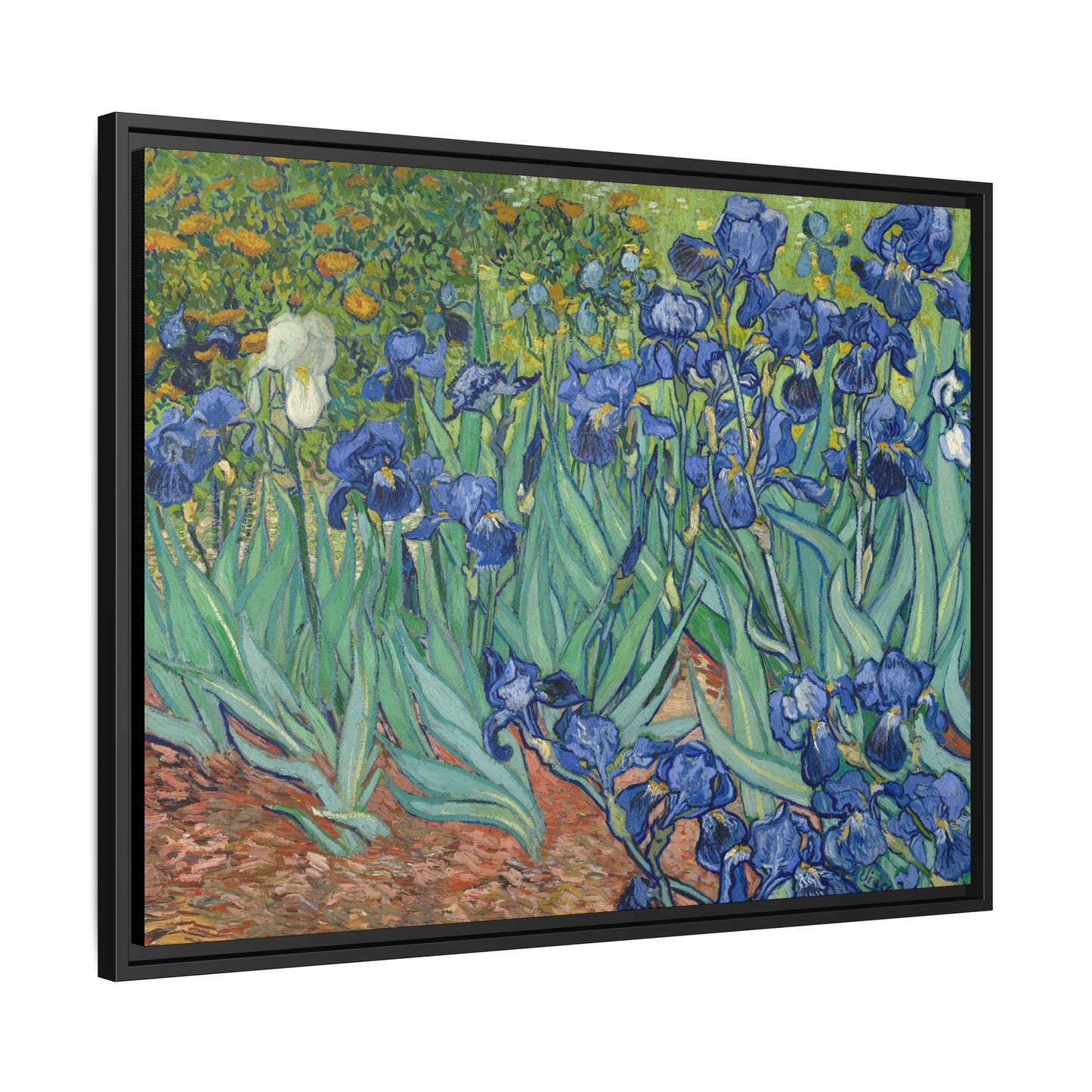 Van Gogh, Vincent - Irises (1889) - Matte Canvas, Framed