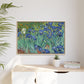 Van Gogh, Vincent - Irises (1889) - Matte Canvas, Framed