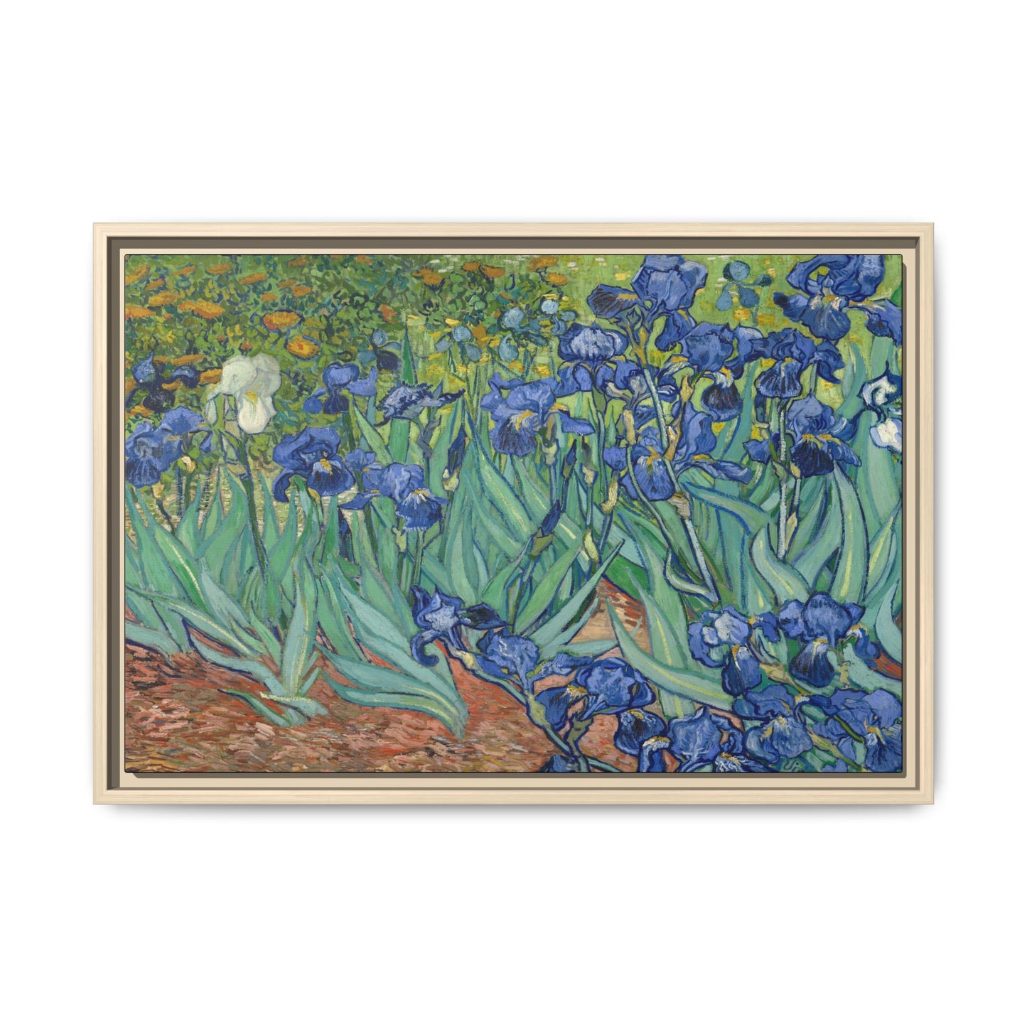 Van Gogh, Vincent - Irises (1889) - Matte Canvas, Framed