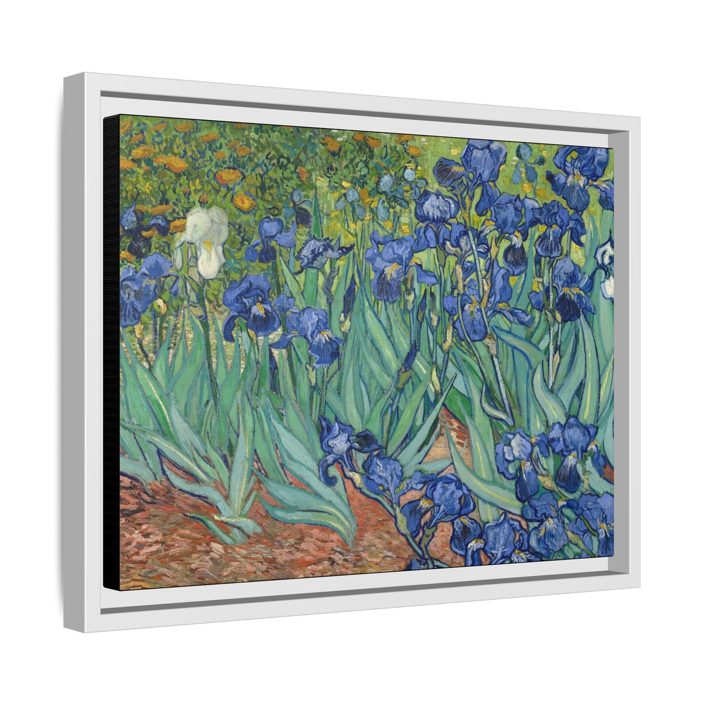 Van Gogh, Vincent - Irises (1889) - Matte Canvas, Framed