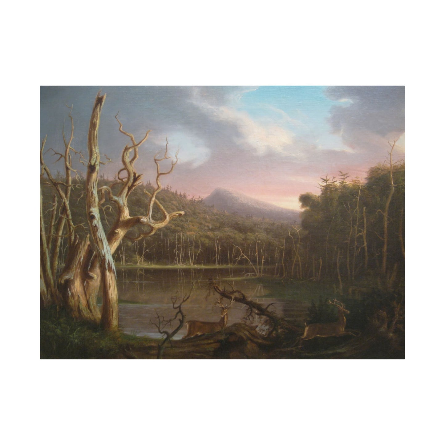 Cole. Thomas - Lake with Dead Trees (1825) - Satin Posters