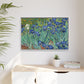 Van Gogh, Vincent - Irises (1889) - Matte Canvas, Framed