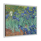 Van Gogh, Vincent - Irises (1889) - Matte Canvas, Framed