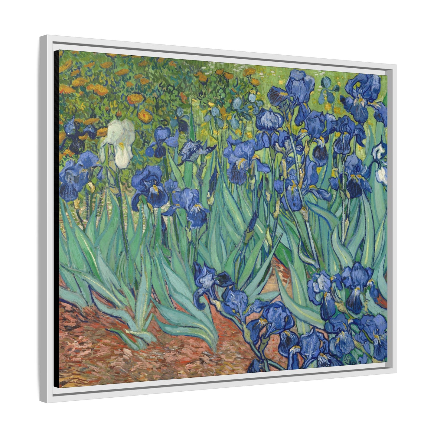 Van Gogh, Vincent - Irises (1889) - Matte Canvas, Framed