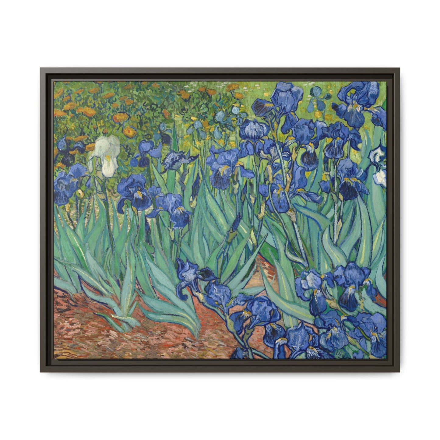 Van Gogh, Vincent - Irises (1889) - Matte Canvas, Framed