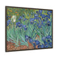 Van Gogh, Vincent - Irises (1889) - Matte Canvas, Framed