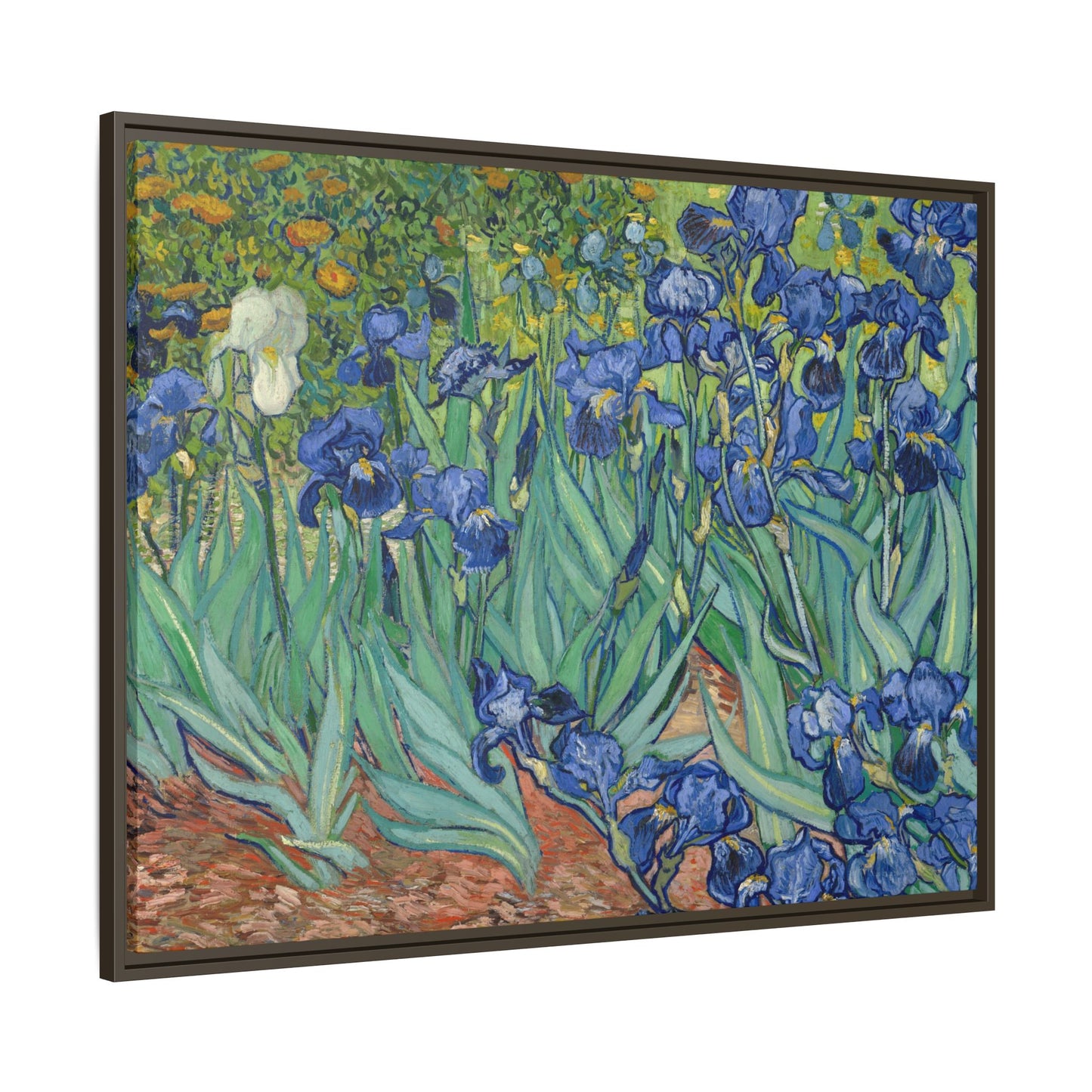 Van Gogh, Vincent - Irises (1889) - Matte Canvas, Framed