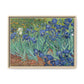 Van Gogh, Vincent - Irises (1889) - Matte Canvas, Framed
