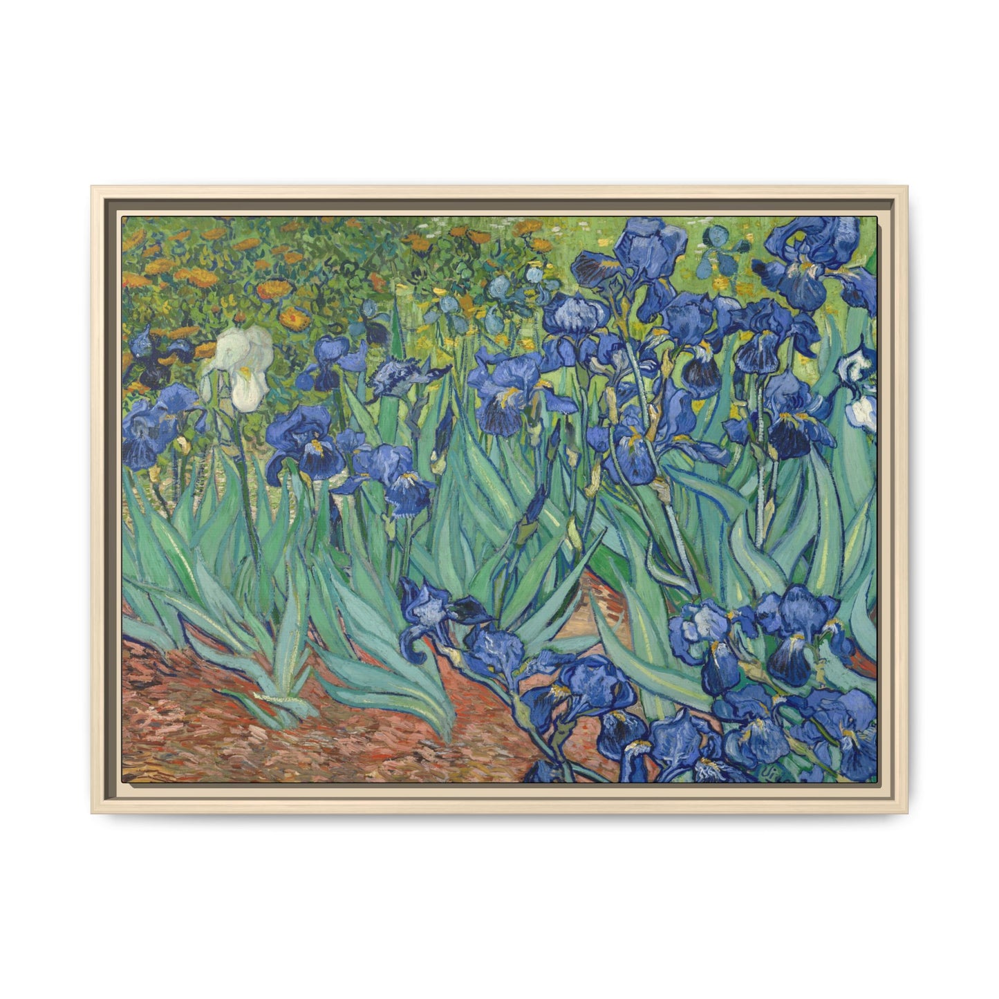 Van Gogh, Vincent - Irises (1889) - Matte Canvas, Framed