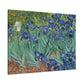 Van Gogh, Vincent - Irises (1889) - Canvas Block, unframed