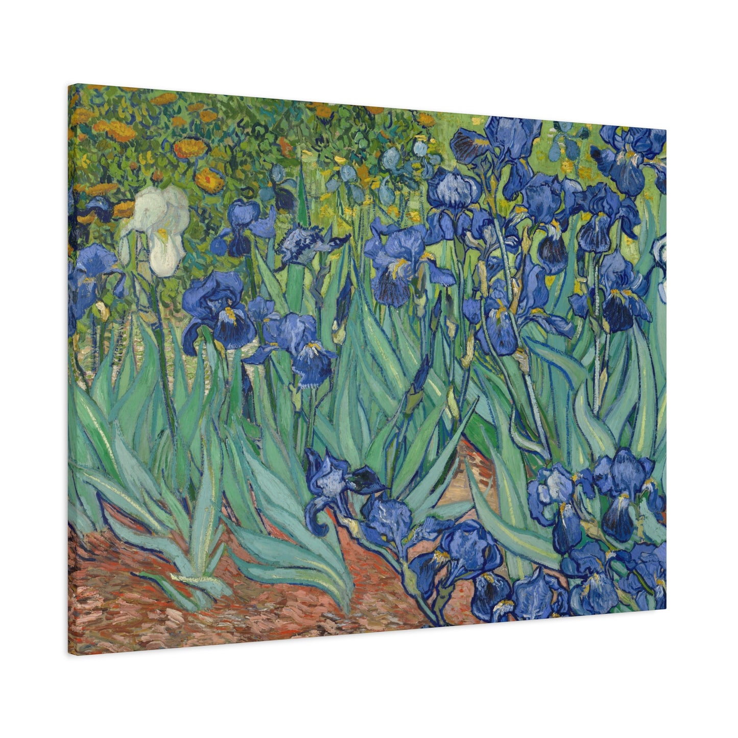 Van Gogh, Vincent - Irises (1889) - Canvas Block, unframed