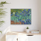 Van Gogh, Vincent - Irises (1889) - Matte Canvas, Framed