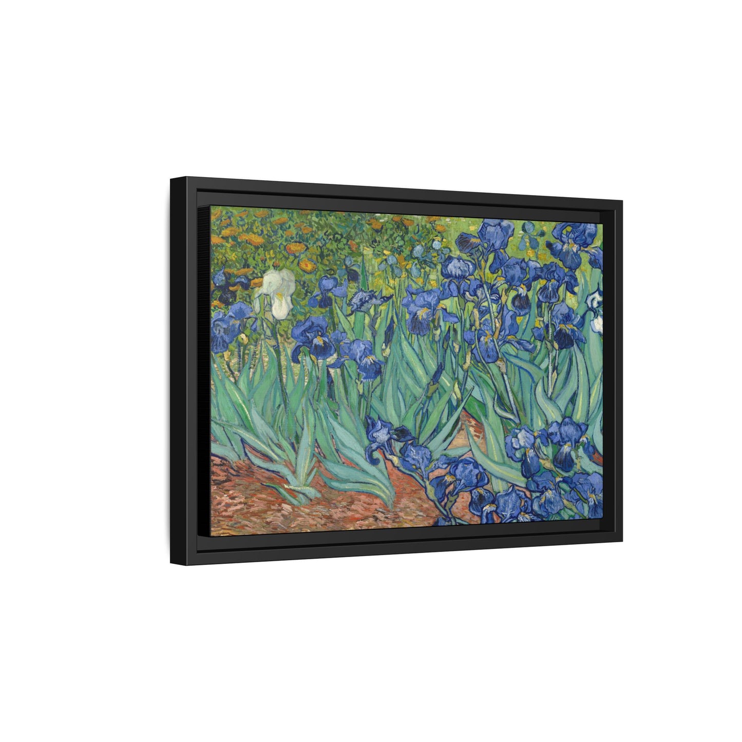 Van Gogh, Vincent - Irises (1889) - Matte Canvas, Framed