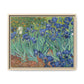 Van Gogh, Vincent - Irises (1889) - Matte Canvas, Framed