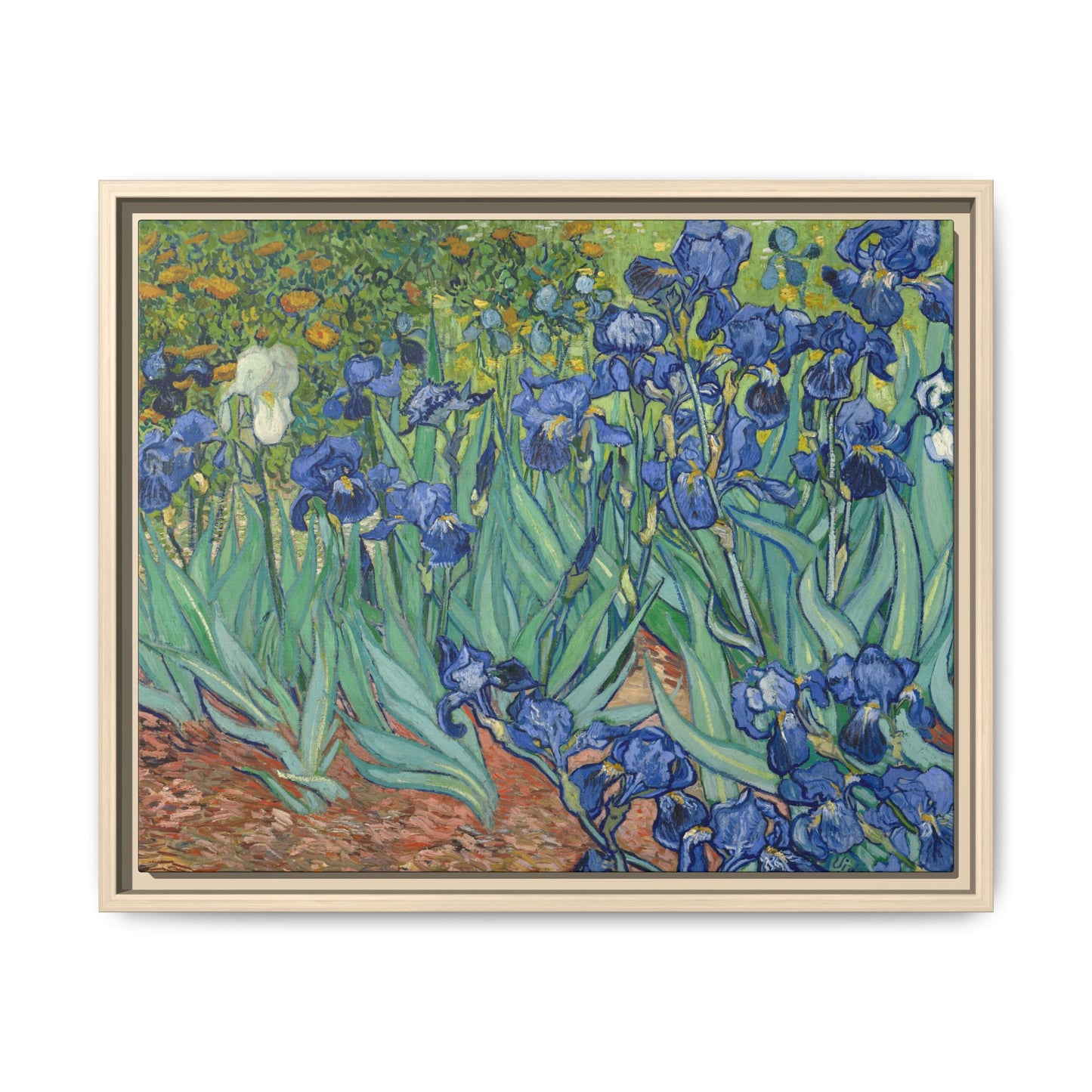 Van Gogh, Vincent - Irises (1889) - Matte Canvas, Framed