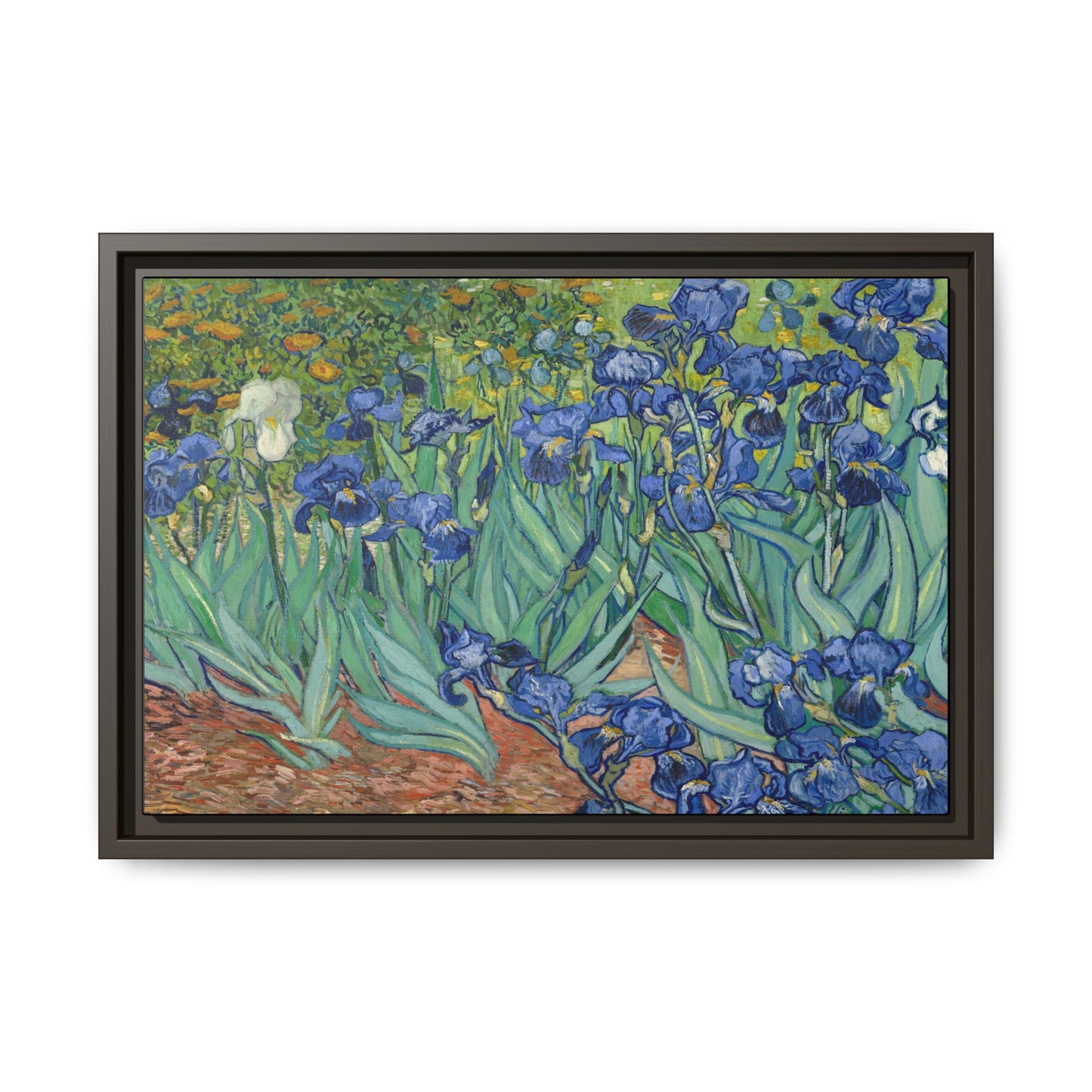Van Gogh, Vincent - Irises (1889) - Matte Canvas, Framed
