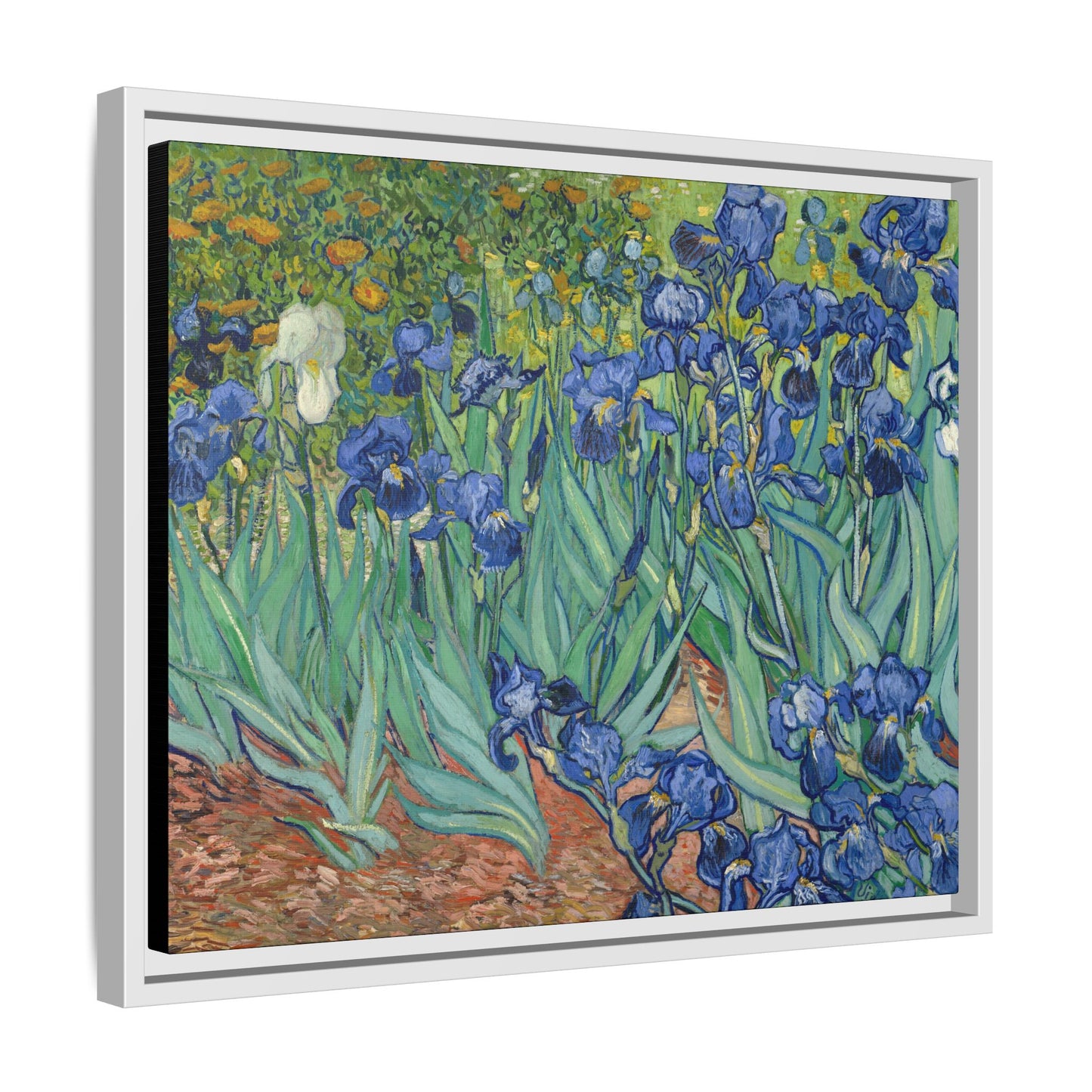 Van Gogh, Vincent - Irises (1889) - Matte Canvas, Framed