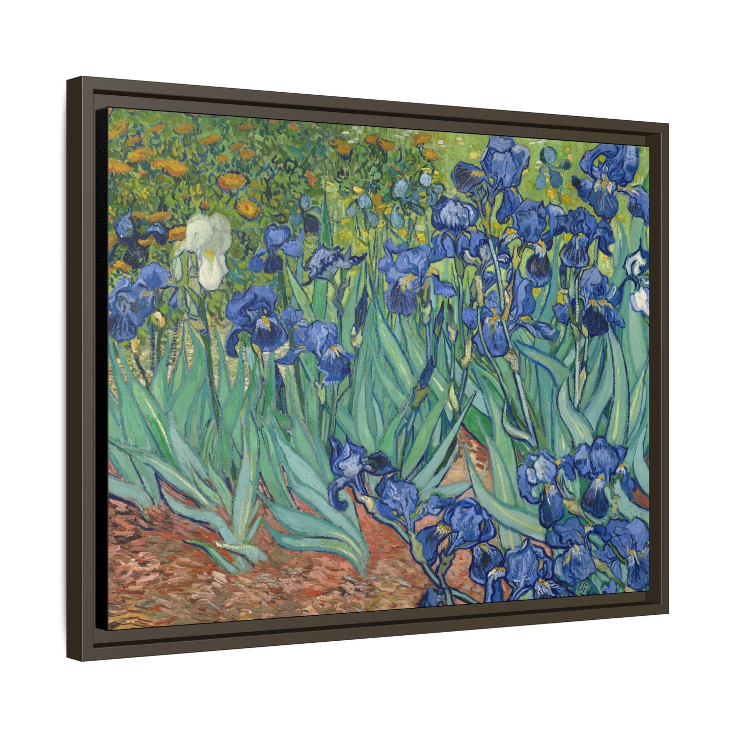 Van Gogh, Vincent - Irises (1889) - Matte Canvas, Framed