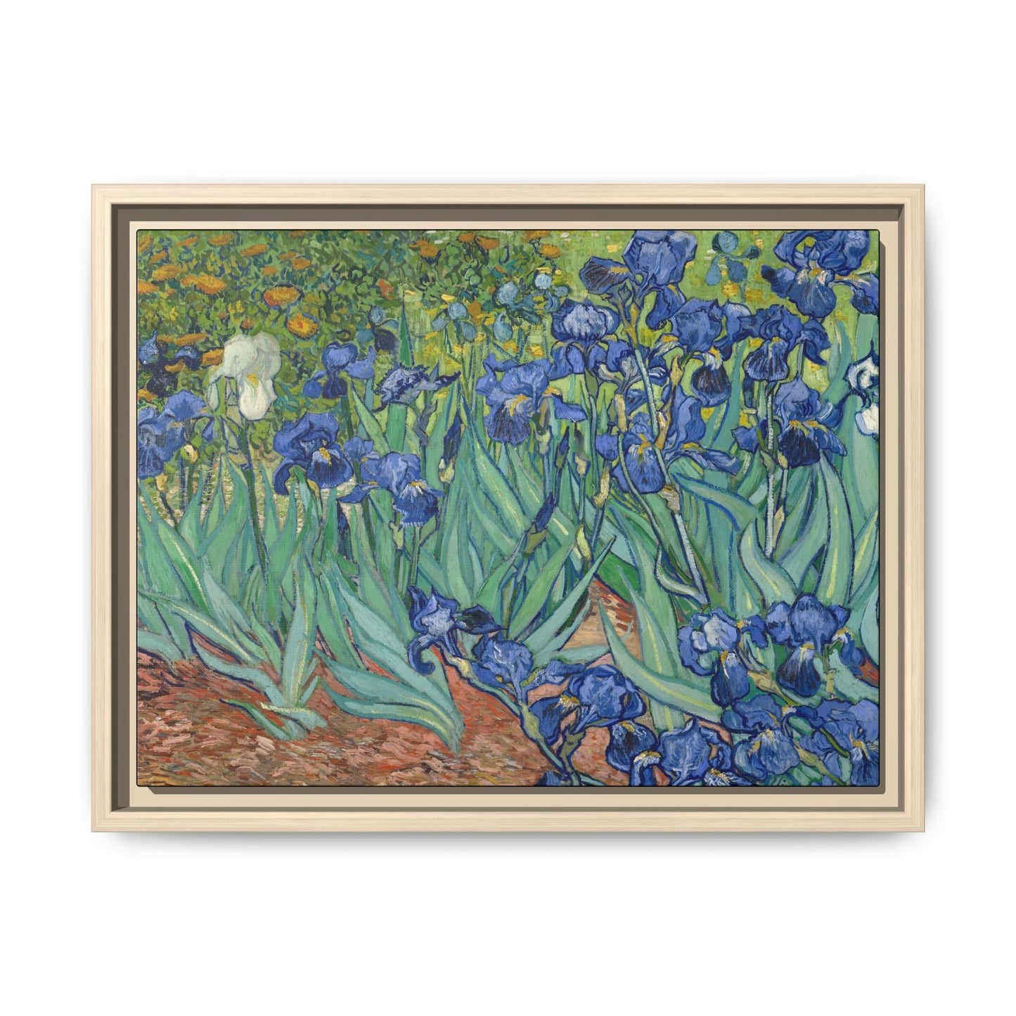 Van Gogh, Vincent - Irises (1889) - Matte Canvas, Framed