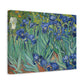 Van Gogh, Vincent - Irises (1889) - Canvas Block, unframed