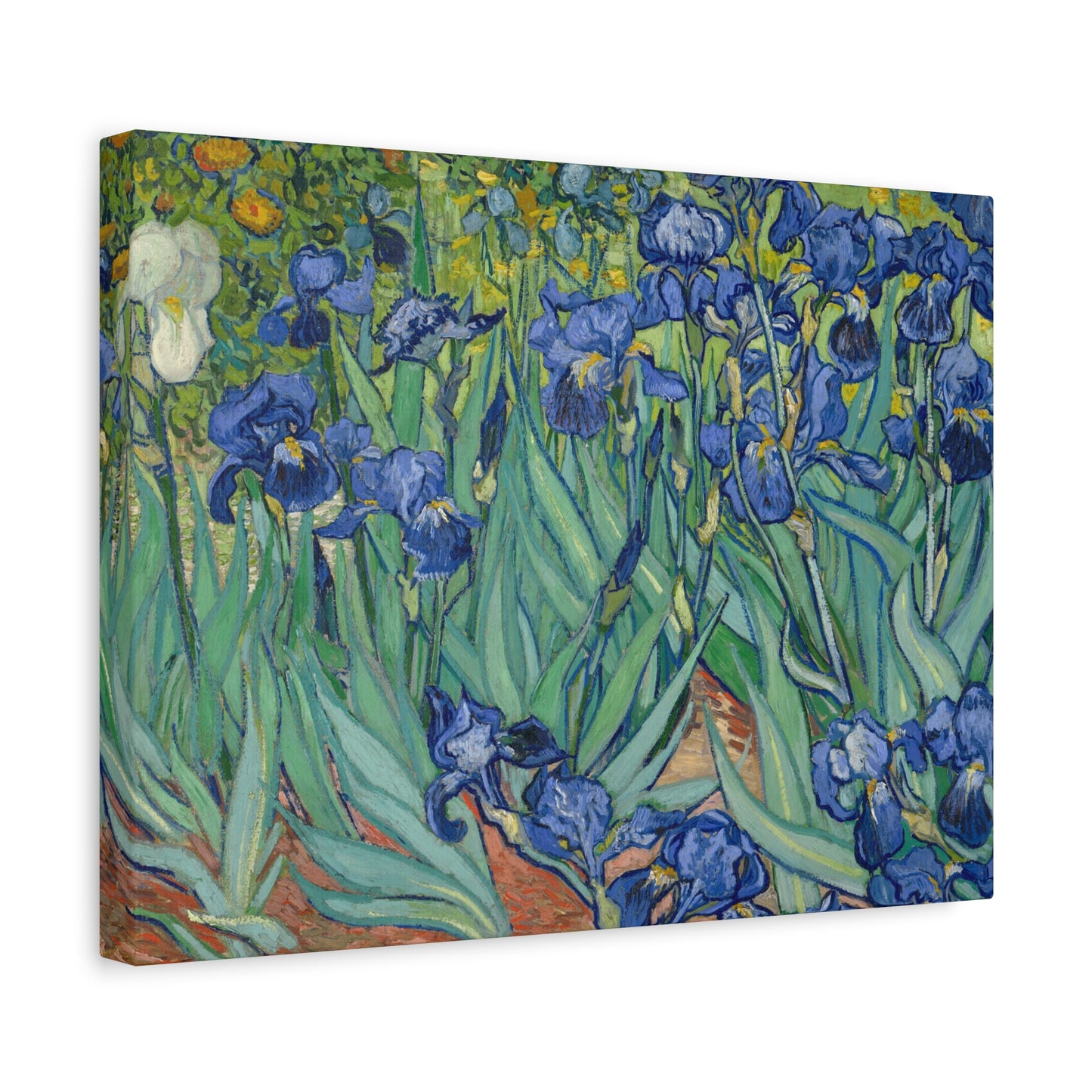 Van Gogh, Vincent - Irises (1889) - Canvas Block, unframed