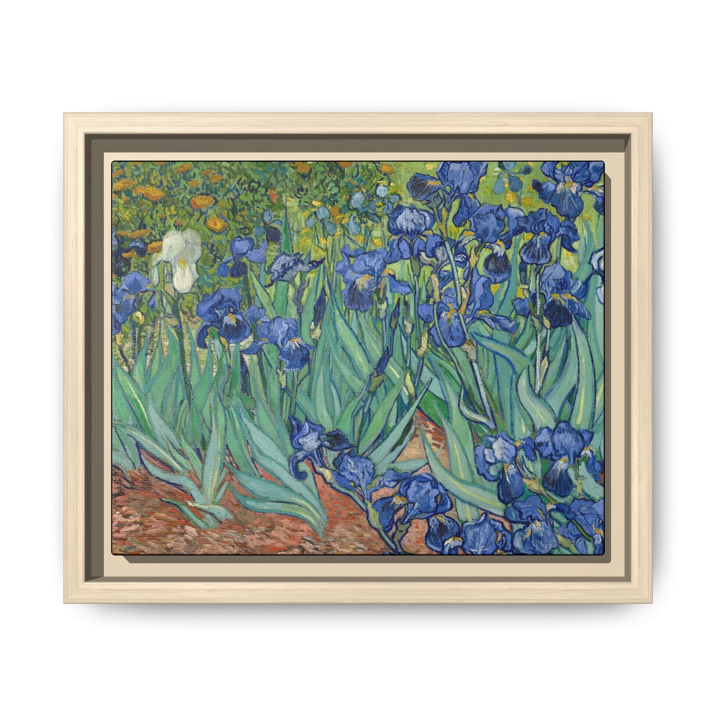 Van Gogh, Vincent - Irises (1889) - Matte Canvas, Framed