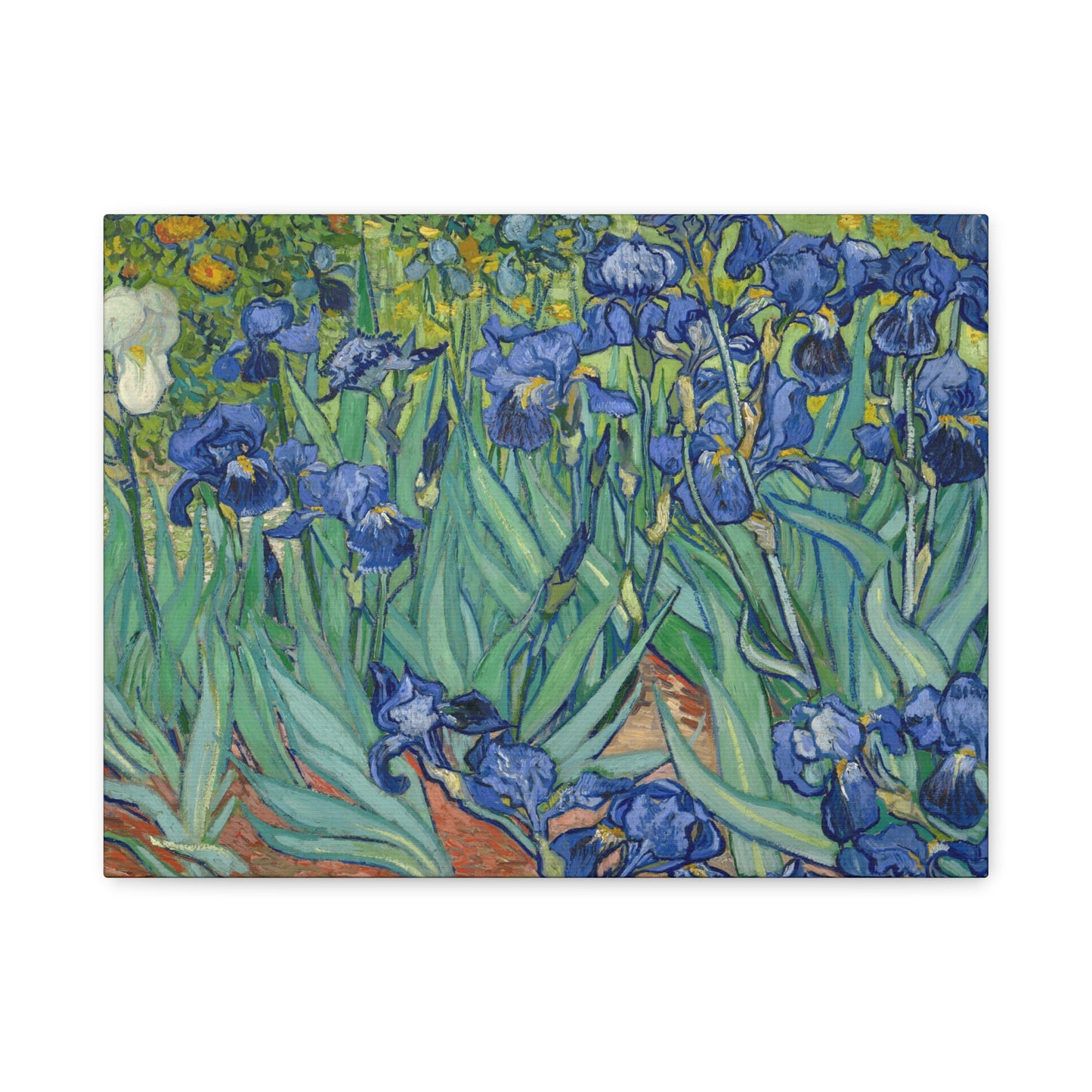 Van Gogh, Vincent - Irises (1889) - Canvas Block, unframed