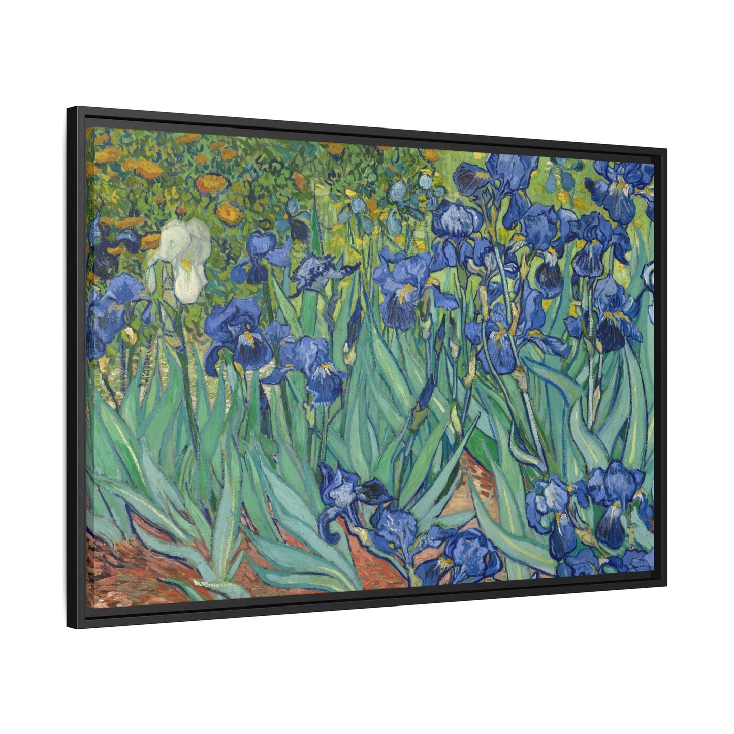 Van Gogh, Vincent - Irises (1889) - Matte Canvas, Framed