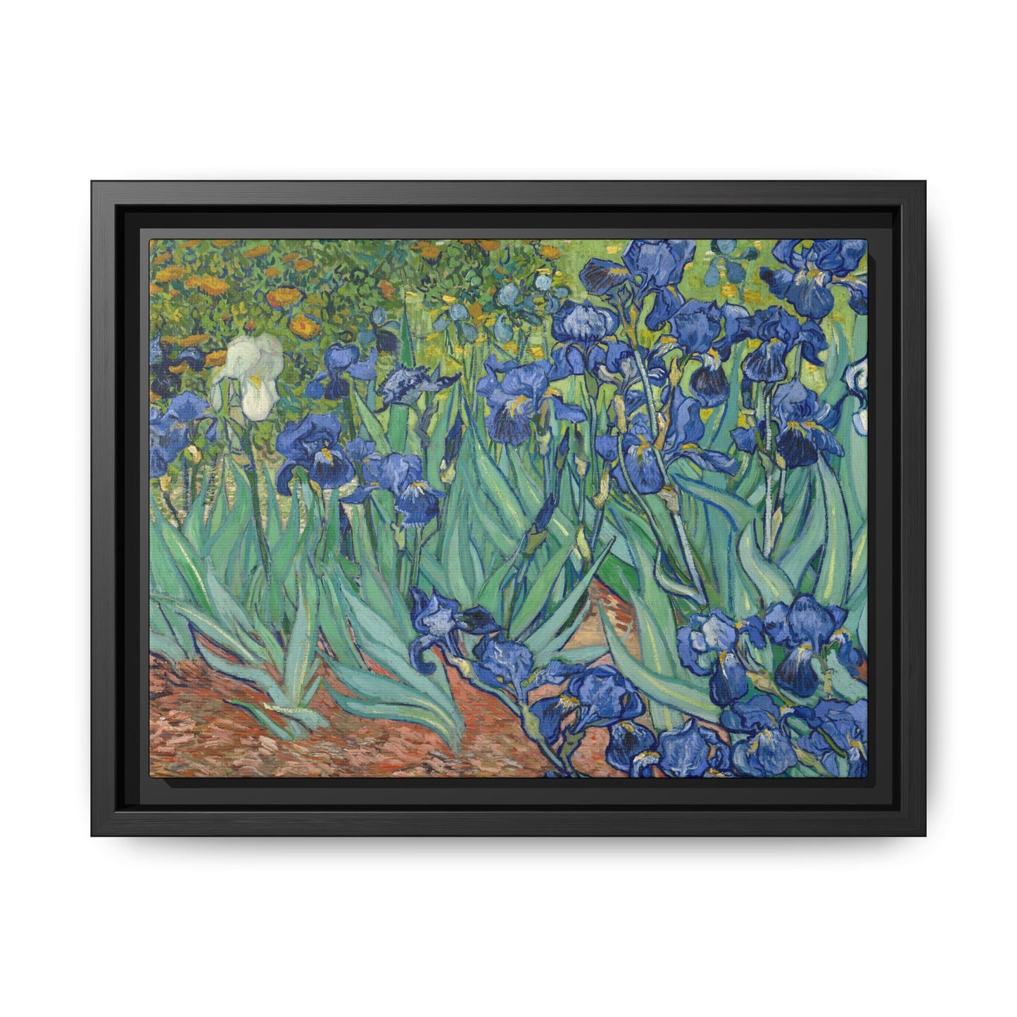 Van Gogh, Vincent - Irises (1889) - Matte Canvas, Framed