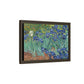 Van Gogh, Vincent - Irises (1889) - Matte Canvas, Framed