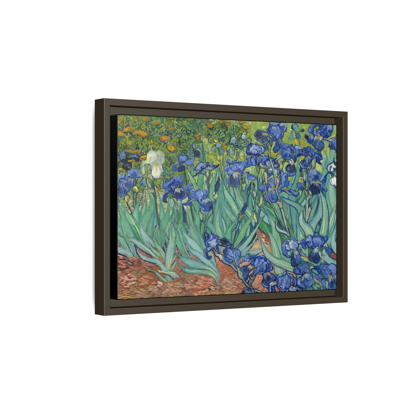 Van Gogh, Vincent - Irises (1889) - Matte Canvas, Framed