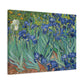 Van Gogh, Vincent - Irises (1889) - Canvas Block, unframed