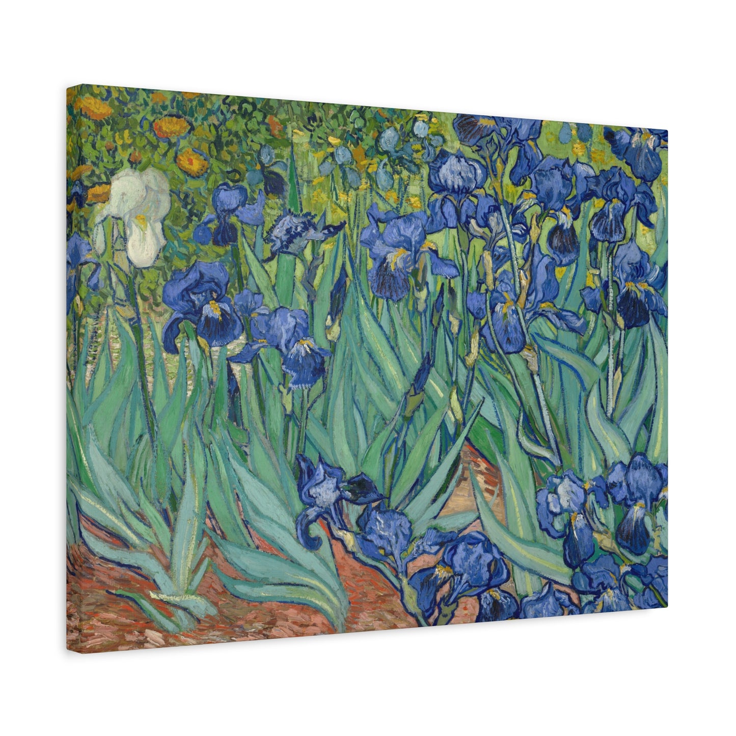 Van Gogh, Vincent - Irises (1889) - Canvas Block, unframed