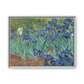 Van Gogh, Vincent - Irises (1889) - Matte Canvas, Framed